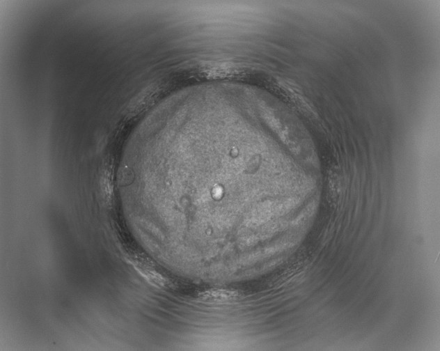 X0000072930691200608041216