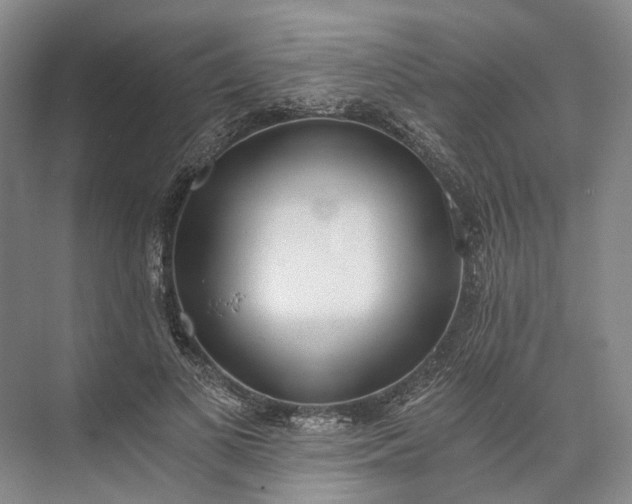 X0000072930693200608041216