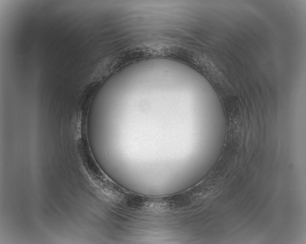 X0000072930694200608041216