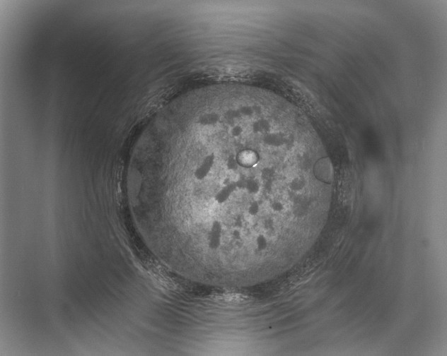 X0000072930695200608041216