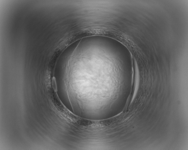 X0000072930696200608041216