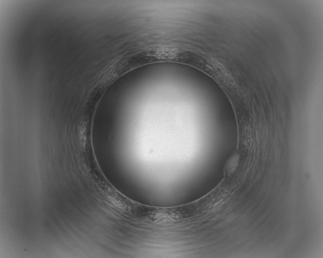 X0000072930697200608041216