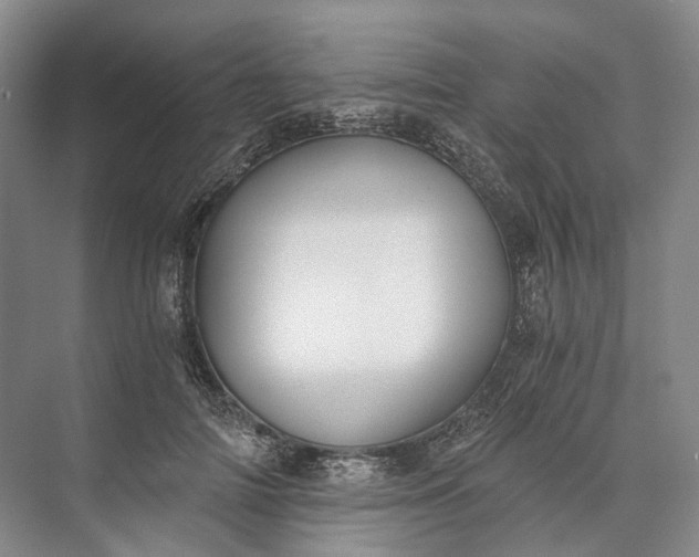 X0000072930698200608041216