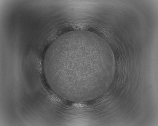 X0000072930699200608041216