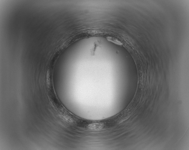 X0000072930700200608041216