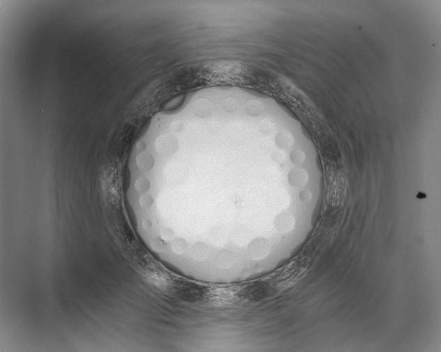 X0000072930701200608041216