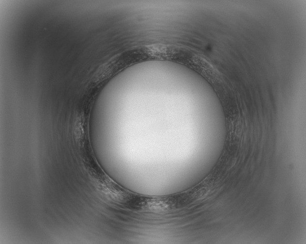 X0000072930702200608041216