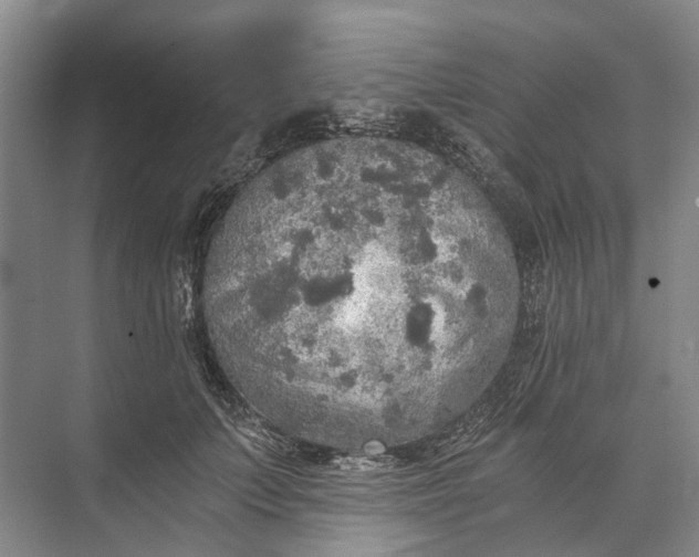 X0000072930703200608041216