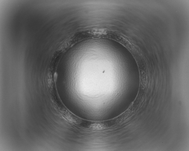 X0000072930704200608041216