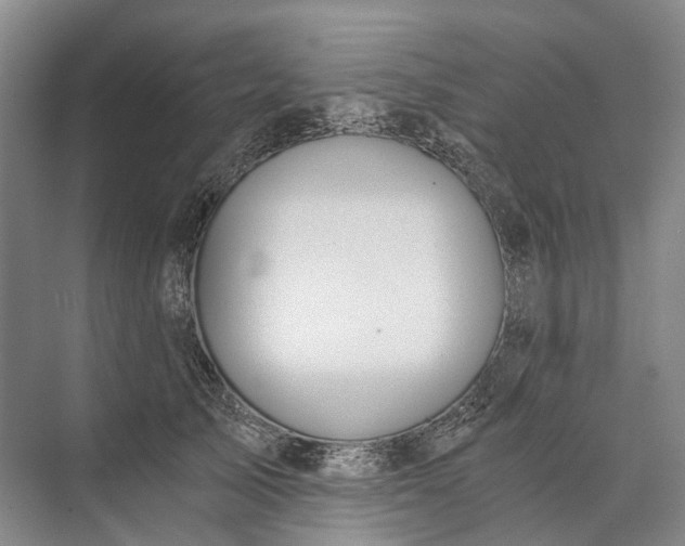 X0000072930705200608041216