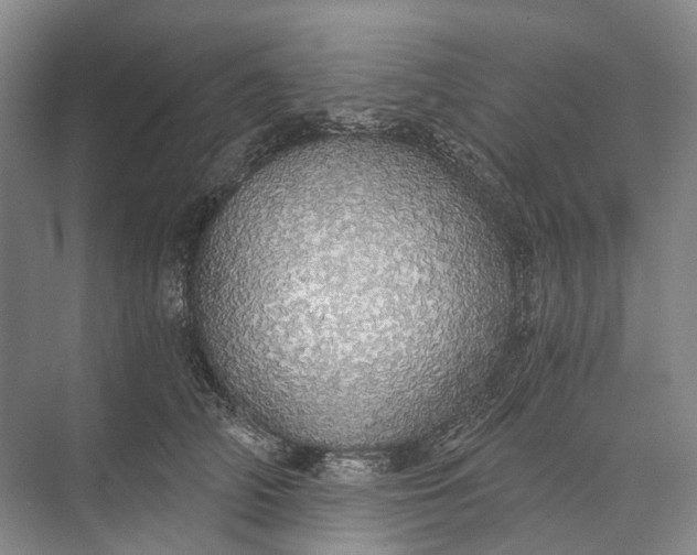 X0000072930706200608041216