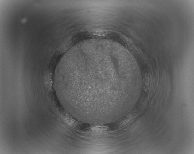 X0000072930707200608041216