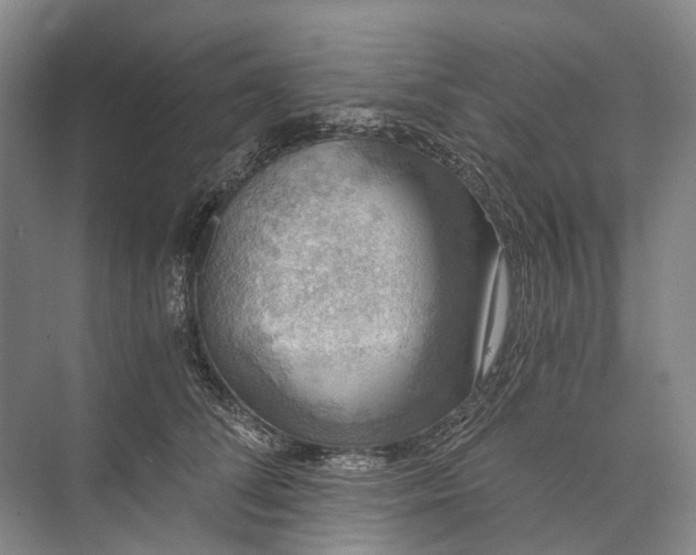 X0000072930708200608041216