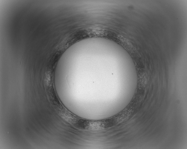 X0000072930709200608041216