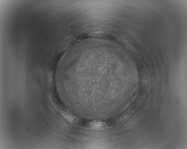 X0000072930711200608041216