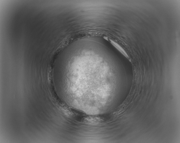 X0000072930712200608041216