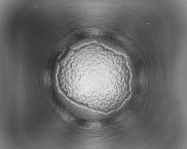 X0000072930715200608041216