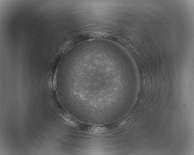 X0000072930716200608041216