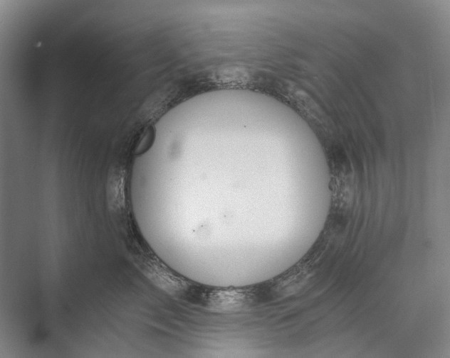 X0000072930717200608041216