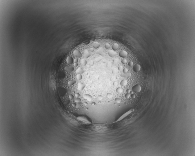 X0000072930719200608041216