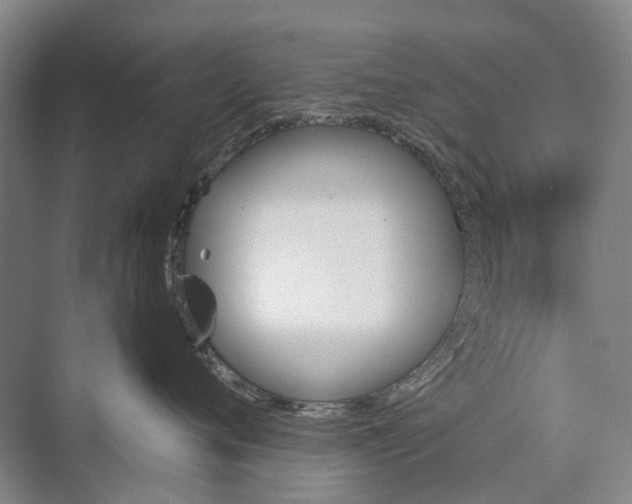 X0000072930720200608041216