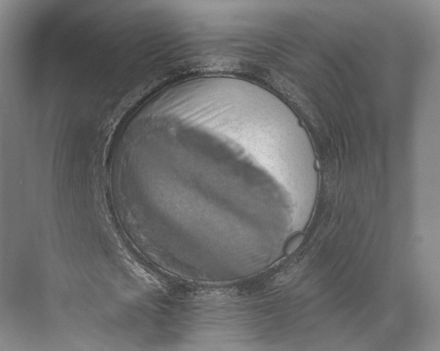 X0000072930721200608041215