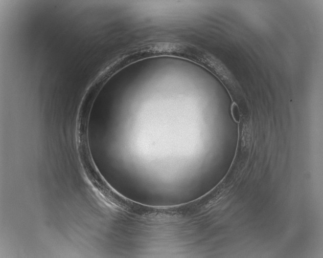 X0000072930722200608041215