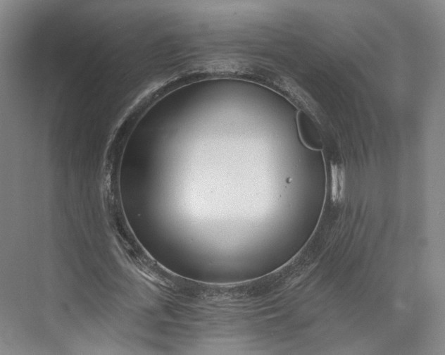 X0000072930723200608041215