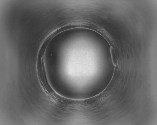 X0000072930724200608041215