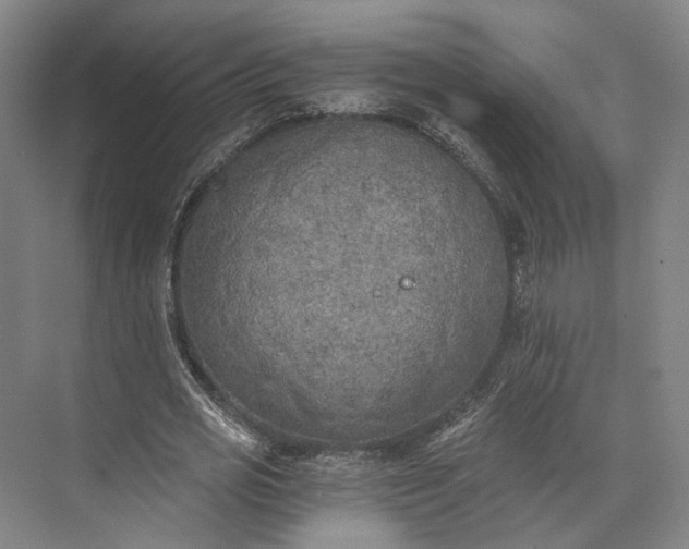 X0000072930725200608041215