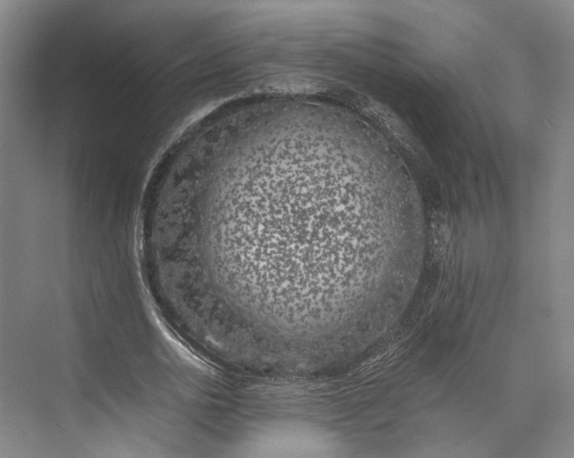 X0000072930726200608041215