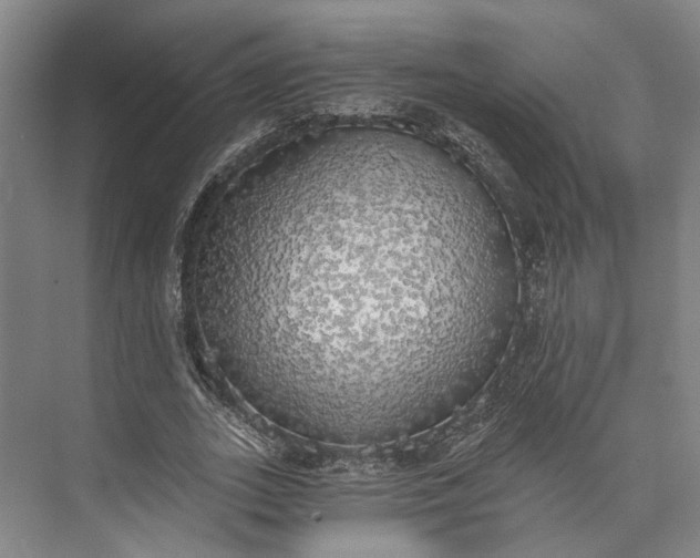 X0000072930727200608041215