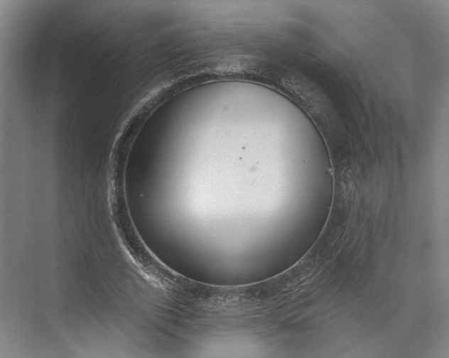 X0000072930728200608041215