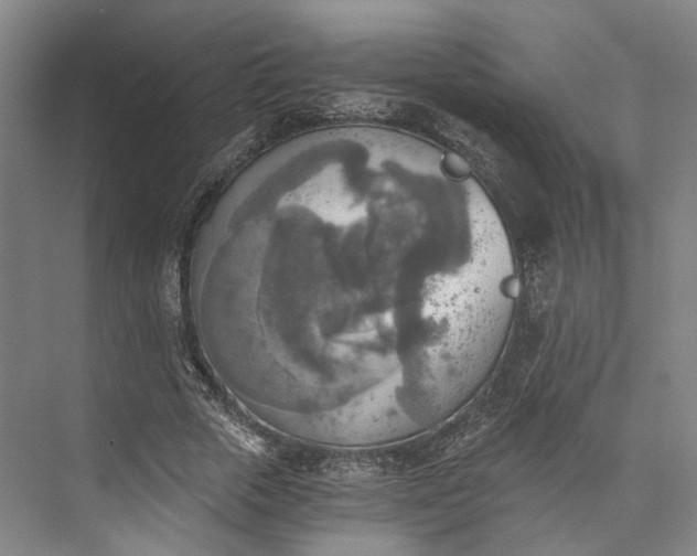 X0000072930729200608041215