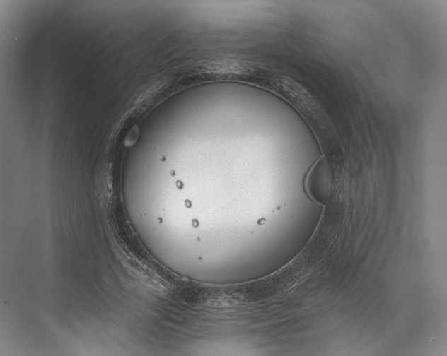 X0000072930731200608041215