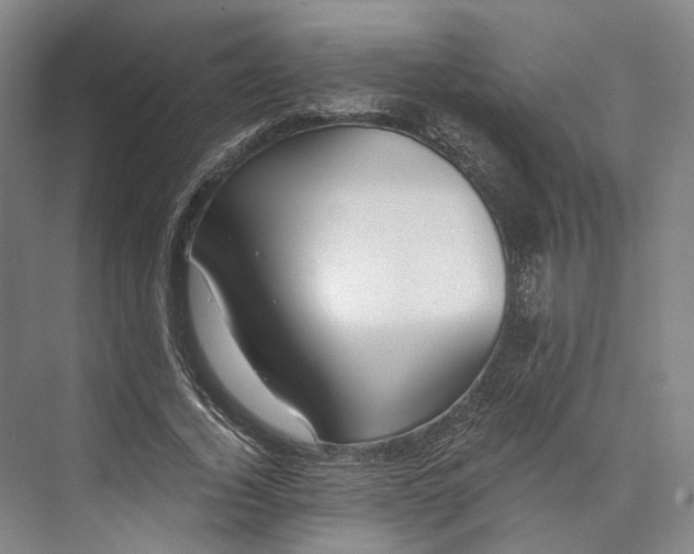 X0000072930732200608041215