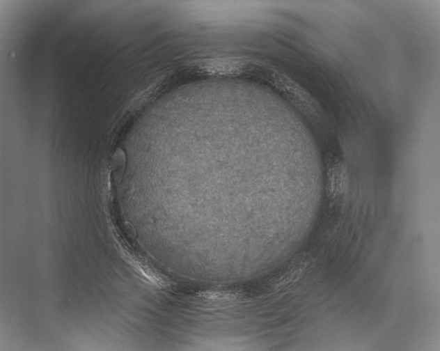 X0000072930733200608041215