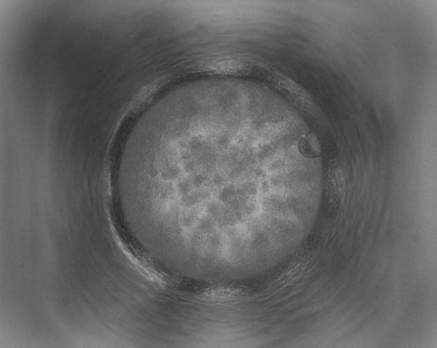 X0000072930734200608041215