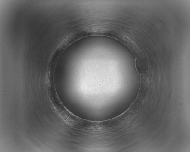 X0000072930735200608041215