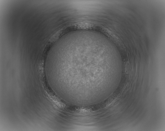 X0000072930737200608041215