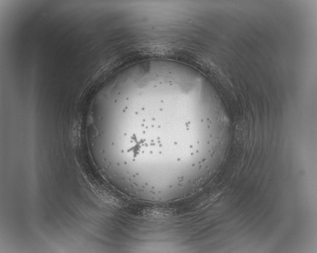 X0000072930739200608041215