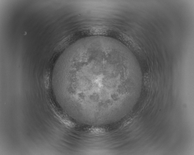 X0000072930741200608041215