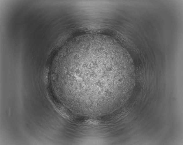 X0000072930742200608041215