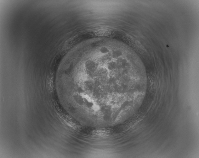 X0000072930745200608041215