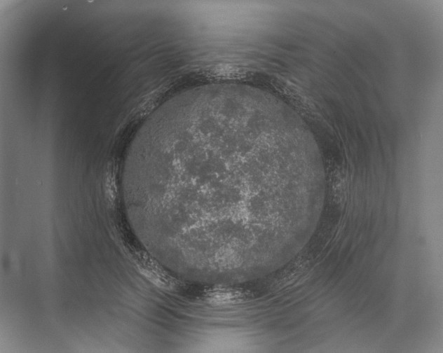 X0000072930746200608041215