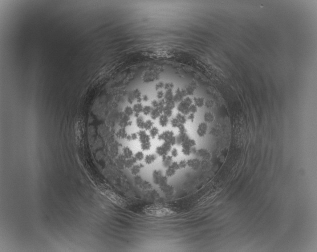 X0000072930747200608041215