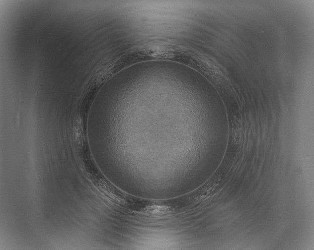 X0000072930748200608041215