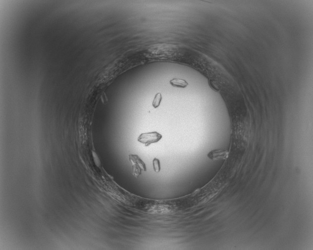 X0000072930751200608041216