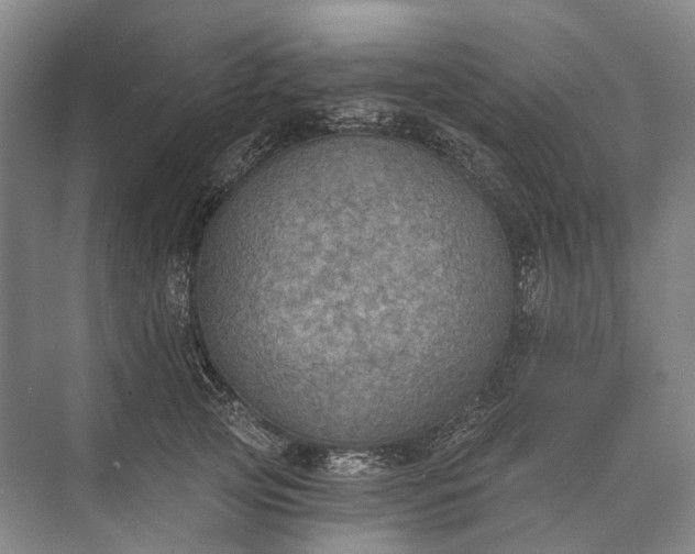 X0000072930753200608041216