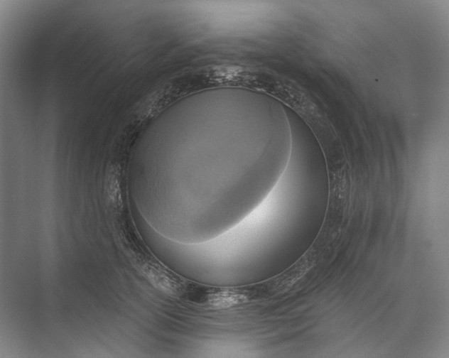 X0000072930754200608041216